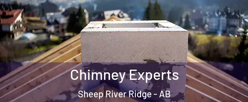 Chimney Experts Sheep River Ridge - AB